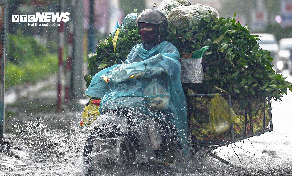 dự báo thời tiết hôm nay