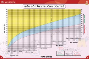 Biểu đồ tăng trưởng qua từng năm của bé