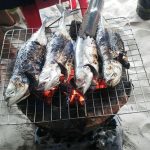 Cá sòng Phú Quốc và những món ngon khó cưỡng               