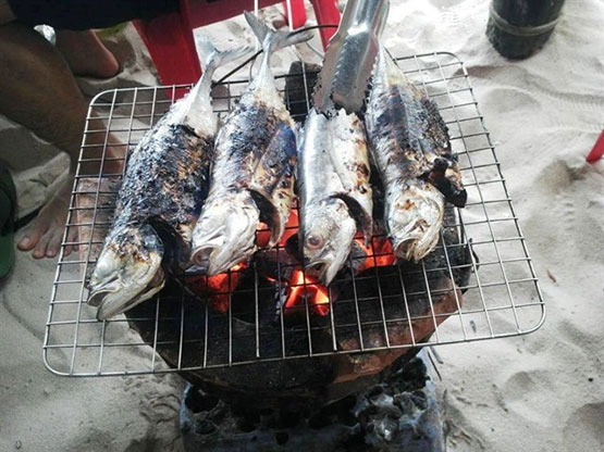 Cá sòng Phú Quốc và những món ngon khó cưỡng               