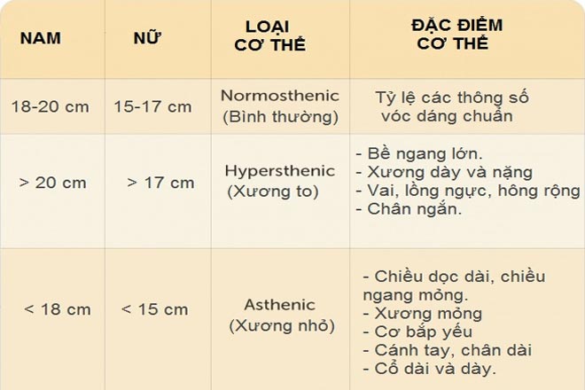 Thông số Broca Index